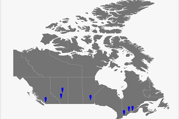 Display Cities